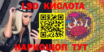 индика Жуковский