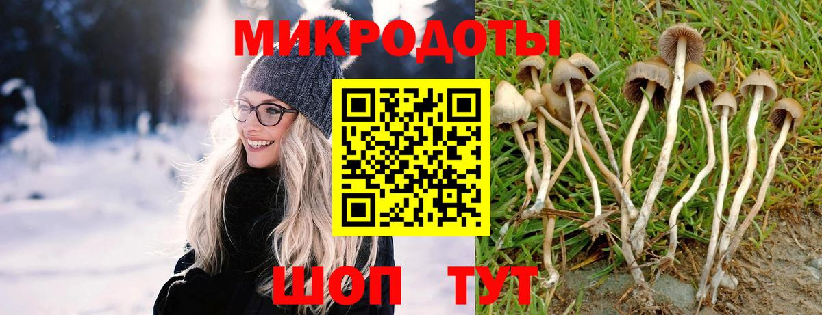 Галлюциногенные грибы мицелий  Вход с VPN  Нижний Новгород 