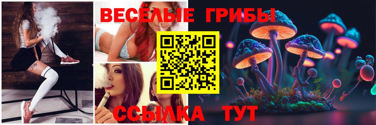 Галлюциногенные грибы мицелий Нижний Новгород